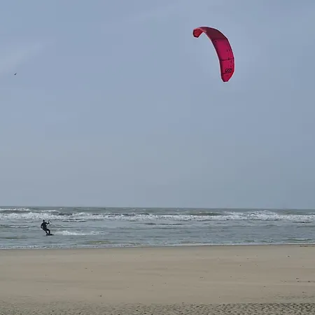 Le Sauvage *