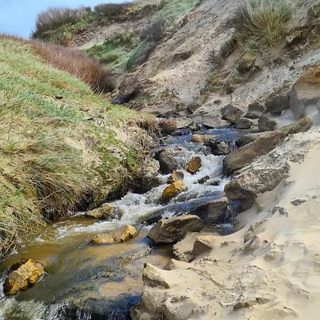 Le Sauvage * Equihen-Plage